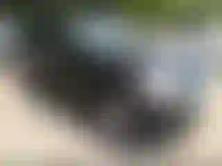 Vehicle Image- 2008 Ford Explorer