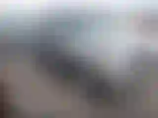 Vehicle Image- 2008 Ford Explorer
