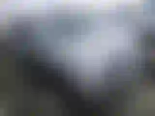 Vehicle Image- 2006 Ford Explorer