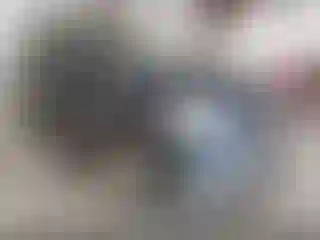 Vehicle Image- 2006 Ford Explorer