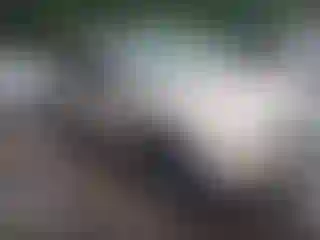 Vehicle Image- 2006 Ford Explorer