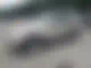 Vehicle Image- 2006 Ford Explorer