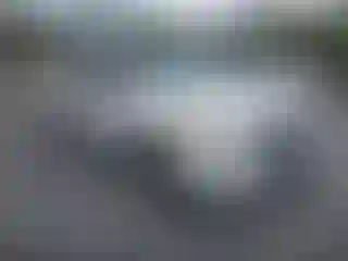 Vehicle Image- 2008 Ford Explorer