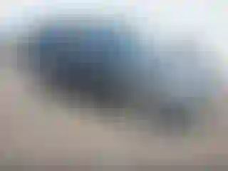 Vehicle Image- 2009 Ford Explorer