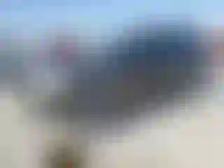 Vehicle Image- 2008 Ford Explorer