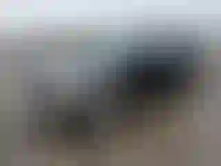 Vehicle Image- 2006 Ford Explorer