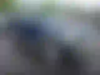 Vehicle Image- 2006 Ford Explorer