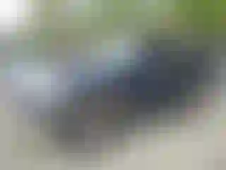 Vehicle Image- 2006 Ford Explorer