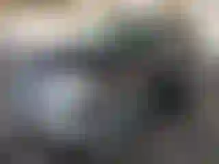 Vehicle Image- 2006 Ford Explorer