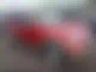 Vehicle Image- 2008 Ford Explorer