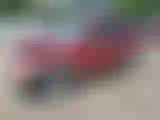 Vehicle Image- 2008 Ford Explorer