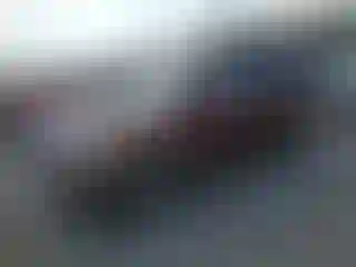 Vehicle Image- 2009 Ford Explorer