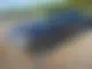 Vehicle Image- 2006 Ford Explorer