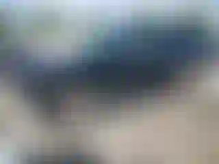 Vehicle Image- 2007 Ford Explorer