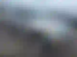 Vehicle Image- 2008 Ford Explorer