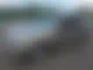 Vehicle Image- 2008 Ford Explorer