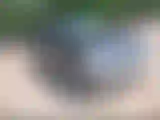 Vehicle Image- 2008 Ford Explorer