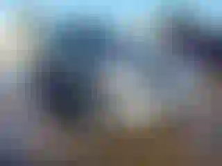 Vehicle Image- 2007 Ford Explorer