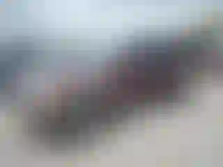 Vehicle Image- 2007 Ford Explorer