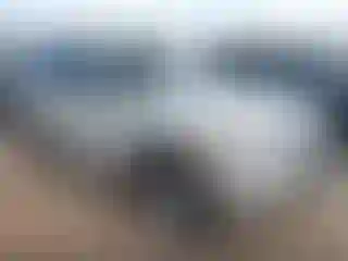 Vehicle Image- 2008 Ford Explorer