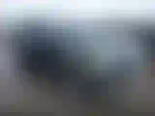 Vehicle Image- 2008 Ford Explorer