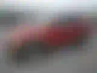 Vehicle Image- 2008 Ford Explorer