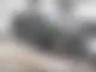 Vehicle Image- 2006 Ford Explorer