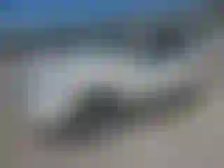 Vehicle Image- 2009 Ford Explorer