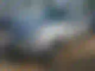 Vehicle Image- 2006 Ford Explorer