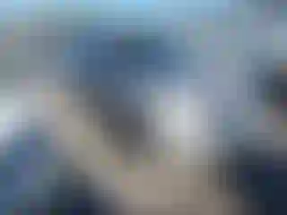 Vehicle Image- 2006 Ford Explorer
