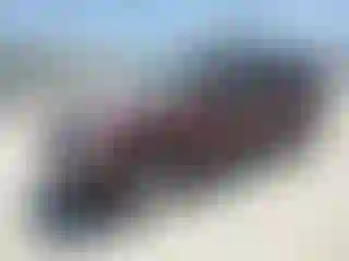 Vehicle Image- 2008 Ford Explorer