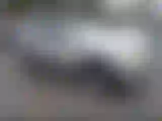 Vehicle Image- 2006 Ford Explorer