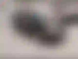 Vehicle Image- 2006 Ford Explorer