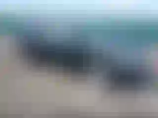 Vehicle Image- 2010 Ford Explorer