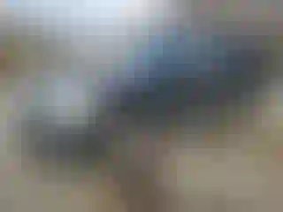 Vehicle Image- 2010 Ford Explorer