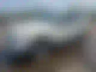 Vehicle Image- 2010 Ford Explorer