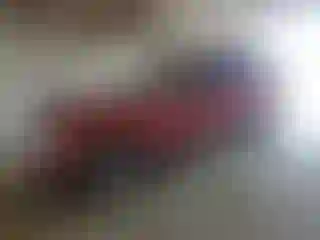 Vehicle Image- 2010 Ford Explorer