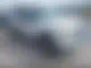 Vehicle Image- 2010 Ford Explorer