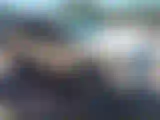 Vehicle Image- 2010 Ford Explorer