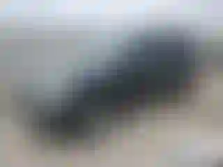 Vehicle Image- 2010 Ford Explorer