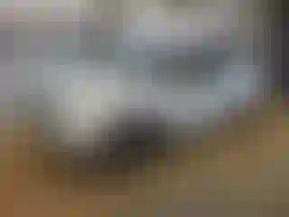 Vehicle Image- 2010 Ford Explorer