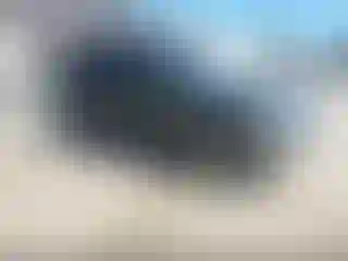 Vehicle Image- 2010 Ford Explorer