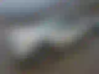 Vehicle Image- 2010 Ford Explorer