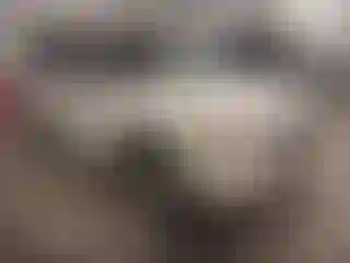 Vehicle Image- 2010 Ford Explorer