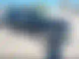 Vehicle Image- 2010 Ford Explorer