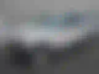 Vehicle Image- 2010 Ford Explorer