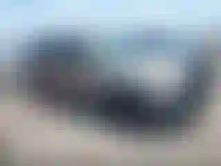 Vehicle Image- 2007 Ford Expedition