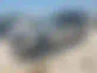 Vehicle Image- 2008 Ford Expedition