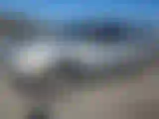 Vehicle Image- 2004 Ford Expedition