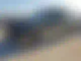 Vehicle Image- 2009 Ford Expedition